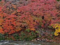 10월25일(다빈) ..