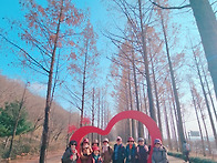 12월17일(수)홍제..