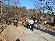 제 84차 홍성 백월산 시산..