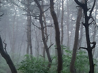 200614 아산 도고산