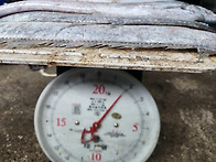 4월 6일 판매생선입니다.