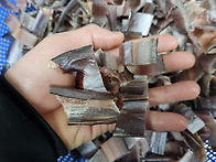 12월 30일 판매생선입니다.