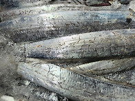 4월 6일 판매생선입니다.