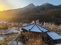 겨울 봄 2계절 풍경