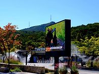 화요사랑걷기운동 (2610..