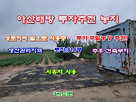 [아산토지]아산/배방 배방..