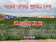 [아산토지]아산/탕정 탕정..