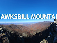 2025년 11월 8일 Hawk..