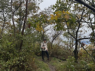 10/3/26 Panorama t..