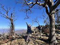 11/8/2025 Hawsvill..