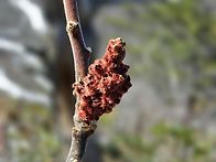 2026년 3월 21일 Robe..