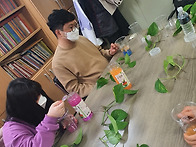 원예교실 - 수경재배