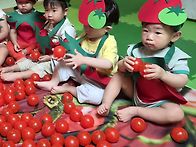 멋쟁이 토마토로 ..