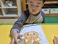 가을 단풍잎, 은행..