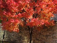 퇴근후 10분 바로 RET ..