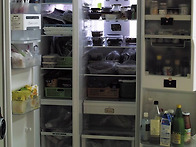 집밥이 정말 맛있습니다!