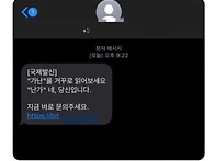 보이스피싱