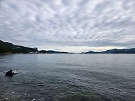 낚시하러