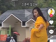 현모양처