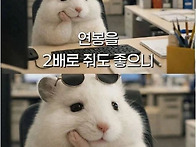 직장인의 현실적인..