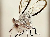 엄청난 창의 모기