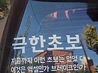 초보