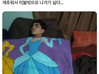 이불안이 짱인데 ..