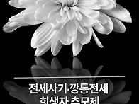 전세사기&#183;깡통전세 희생자..