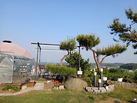 2026년 5월 - ..