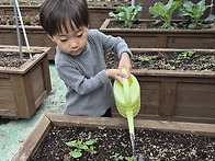 자연생태교육- 감..