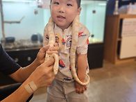 ＜돈키쥬쥬＞동물 보고 왔..