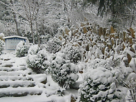 범청천 - 12월5일