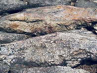 범청천 - 11월1일