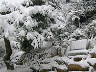 범청천 - 12월8일