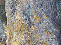 범청천 - 11월18일