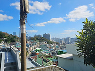 범청천 - 11월15일