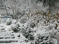 범청천 - 11월28일