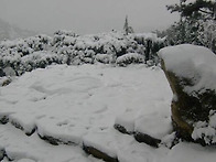 범청천 - 11월29일