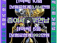 상속증여세연부연납보증보..