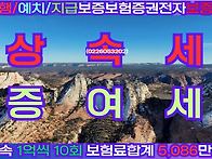 상속증여세연부연납보증보..