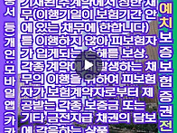 지급보증보험증권상품이행..