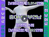 상속증여세연부연납보증보..