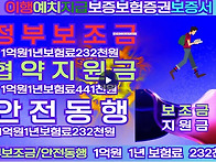 지급보증보험이행예치증권..