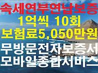 상속세연부연납보증보험강..