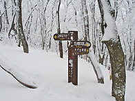 1월29일(일) 신년산행 195회 강능 능경봉(..