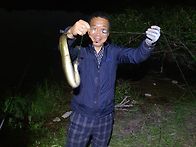 보신....