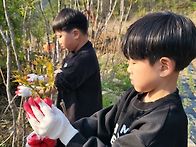두릅따기