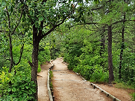 제278정기걷기 북한산자락..