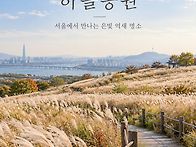 제310회 걷기 마포 하늘공..