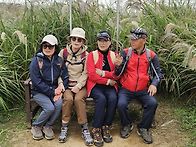 제310회하늘공윈 억새풀축..